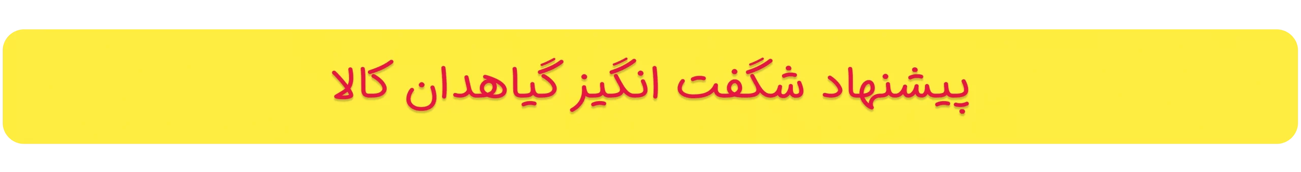 پیشنهاد شگفت انگیز