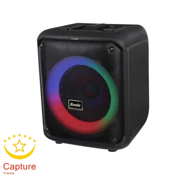 اسپیکر بی سیم قابل حمل برودو مدل BTS-1739 همراه با میکروفون - 2